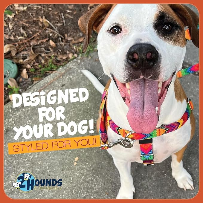 2 Hounds Design Freedom No Pull Dog Harness, Adjustable Harness and Leash Set, Easy Walking & Comfortable Control, Fits Small, Medium & Large Dogs, Solid Colors, Made in USA, 1" LG, Teal