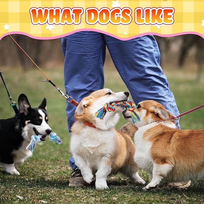 100 Pieces Knot Rope Dog Toys Multi Color Puppy Chew Toy Cotton Puppy Toys Dental Dog Teething Toys 2 Knot Dog Tug for Small and Medium Dogs Aggressive Chewers Supplies