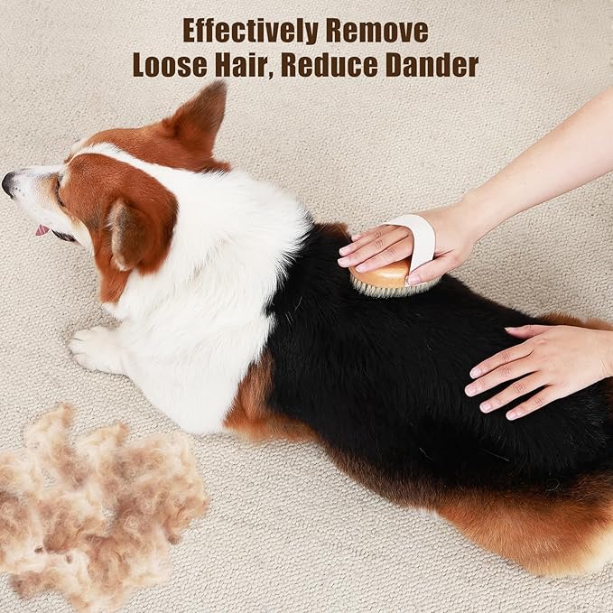 Soft Boar Bristle Pet Palm Brush for Short Haired Dogs and Cats with Band, Reduce Shedding, Ergonomic Dog Brush, Easy to Hold and Reduces Stress On Your Wrist | Ideal for Daily Grooming