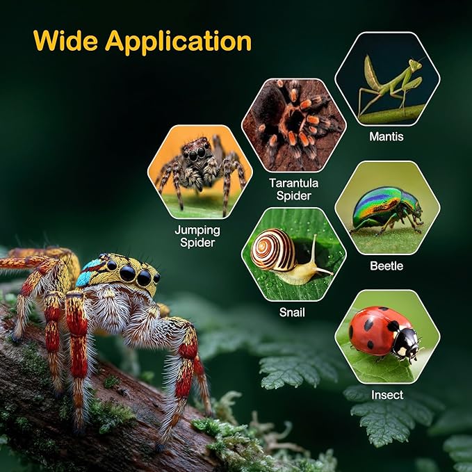 Small Jumping Spider Enclosure Kit,Escape Proof Reptile Tank,Praying Mantis Terrariums,Transparent Acrylic Bug Habitat,Arboreal Tarantula Cribs Cage,Insect Starter Container,Critter Keeper Sea