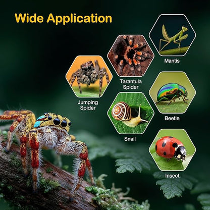 Small Jumping Spider Enclosure Kit,Escape Proof Reptile Tank,Praying Mantis Terrariums,Transparent Acrylic Bug Habitat,Arboreal Tarantula Cribs Cage,Insect Starter Container,Critter Keeper Sea
