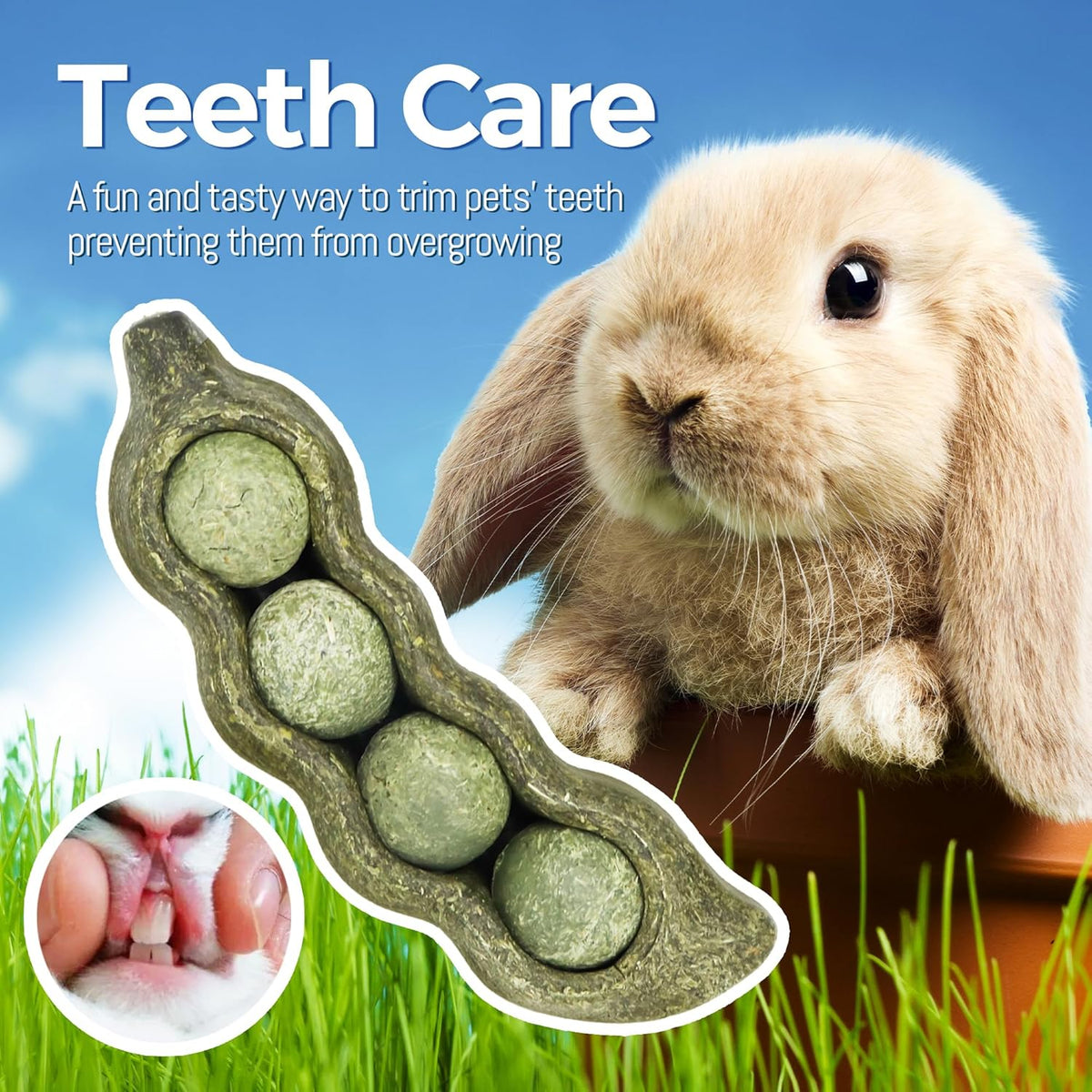 TEEWY 3PCS Guinea Pig Chew Toys, Prevent Teeth Overgrowth, Natural Vegetables and Timothy Grass, Hamster Chew Toys, Guinea Pig Toys, Chinchilla Toys, Peapod-Shaped