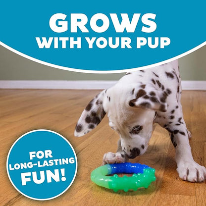 Outward Hound Grow-with-Me-Ring Dog Chew Toy, Multicolored