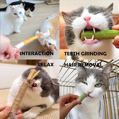 6Pack Cat Toys Cats Grass Treat Catnip Toy with Silvervine for Indoor Kitten Toys Wood Kitty Chew Rope Grass Sticks for Teeth Cleaning Kitten Snack for Catnip Dental Care Self Play
