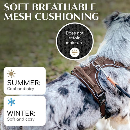 Freudentier No Pull Dog Harness with Handle, Front & Back Clips, Reflective | Soft breathable mesh padding - perfect fit with no chafing or slipping - comfortable dog vest for small, medium & large dogs