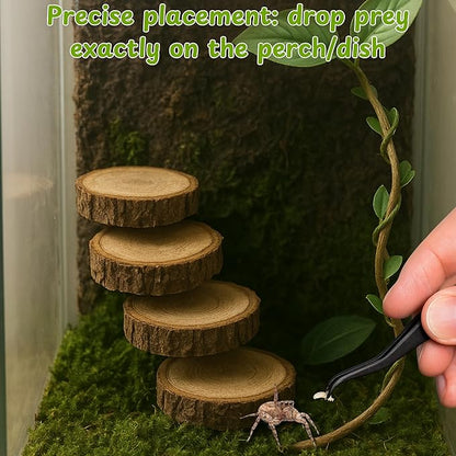 Jumping Spider Feeding Dish Kit with Tweezers, Dual Cup Food Bowl with Suction Mount, Small Reptile/Tarantula Enclosure Accessories (Feeding Ledge)