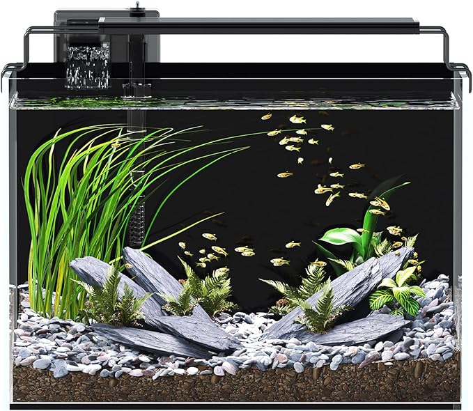 5 Gallon Fish Tank Aquarium Kit with Filter, LED Light with Timer, Siphon Vacuum Cleaner, Lid, Self-Cleaning Glass Rimless Betta Tank
