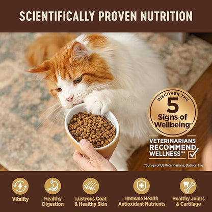Wellness CORE Kitten Dry Cat Food for Indoor & Outdoor Cats, Grain Free, Natural, Original Turkey, Turkey Meal and Chicken (5 Pound Bag)