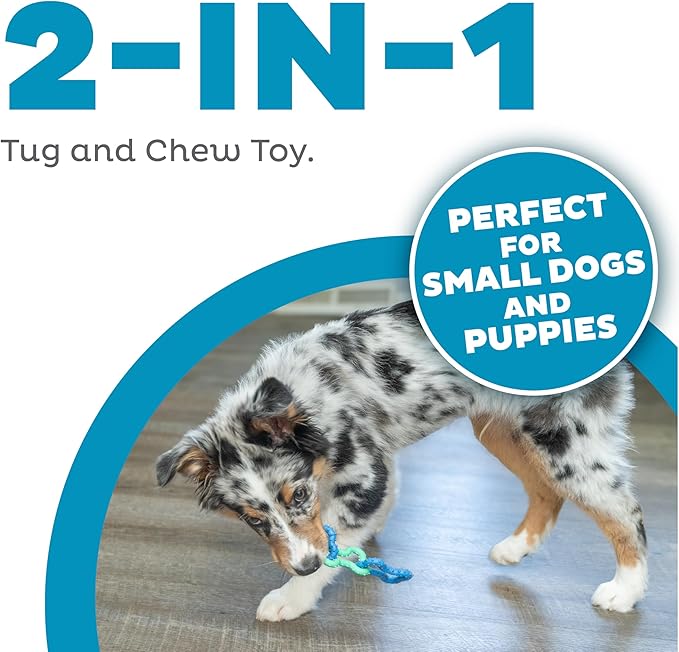 Outward Hound Bone Tugz Tug-of-War Dog Chew Toy, Blue
