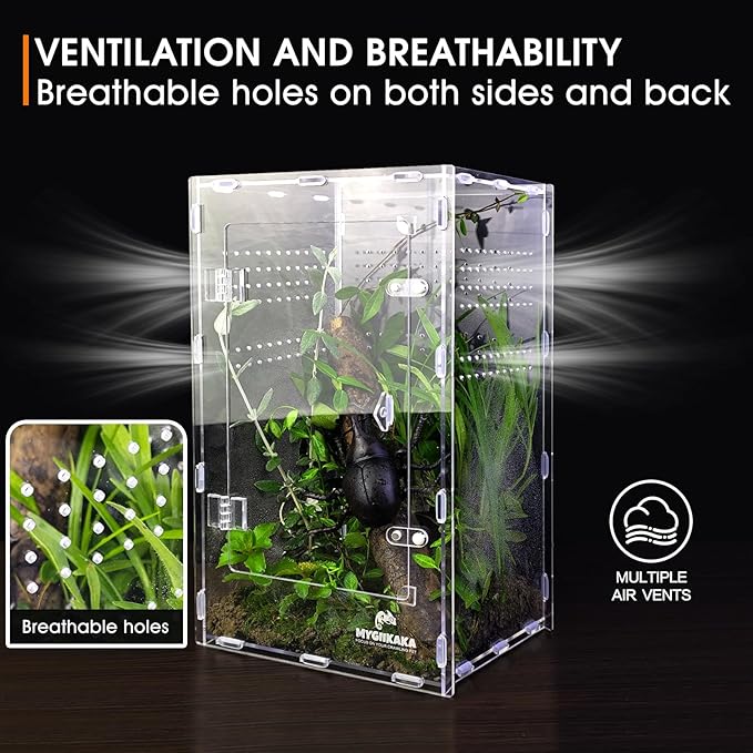 Acrylic Jumping Spider Enclosure - Insect Terrarium for Spiders, Mantises, Tarantulas & Frogs