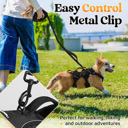 rabbitgoo Escape Proof Dog Harness for Small, No Pull with Lift Handle | No Escape, Full Soft Padded, Reflective Adjustable Vest, Leash Clip for Walking Hiking Training, Black, Small