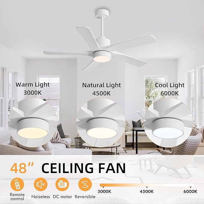 WINGBO 48 Inch DC Ceiling Fan