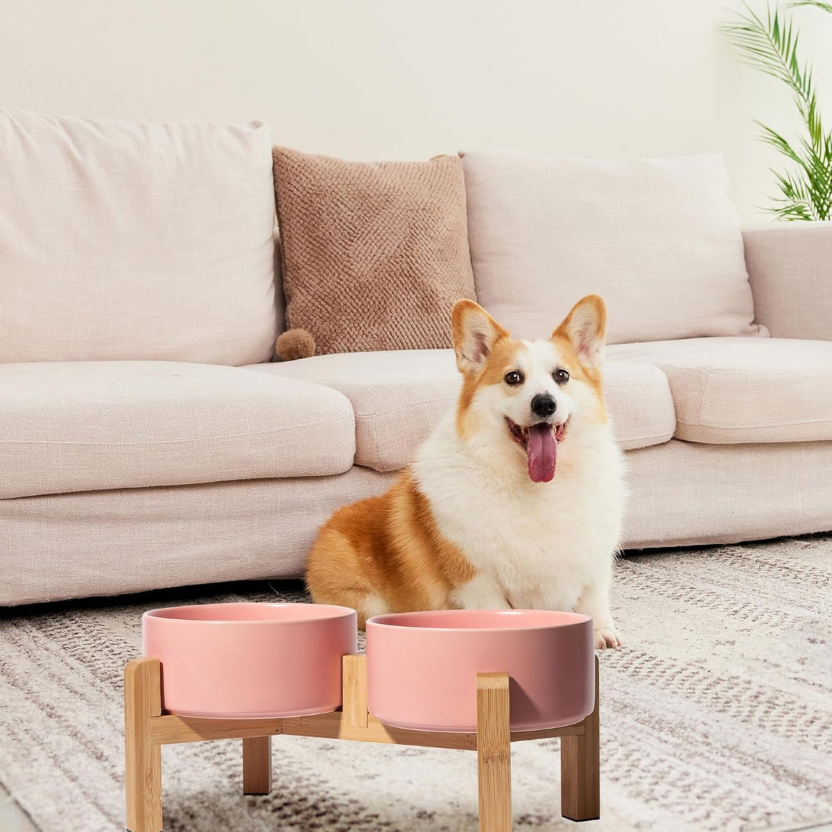 Elevated Ceramic Dog Bowl Set. A calm, considered pick for modern pet homes.