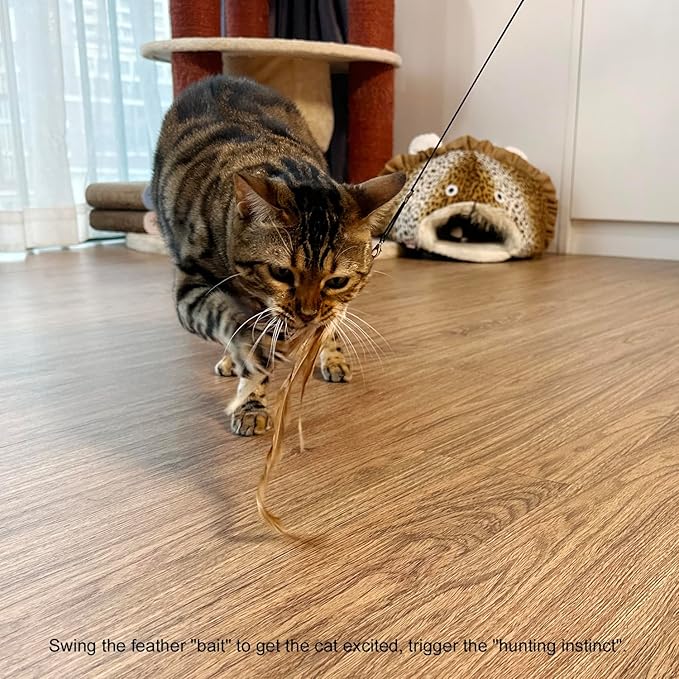 TTcat Cat Feather Wand Toys,Retractable Wand Toy with 4 Feather Refills, Interactive Cat Toy Kitten Toy for Indoor Cats to Play Chase Exercis