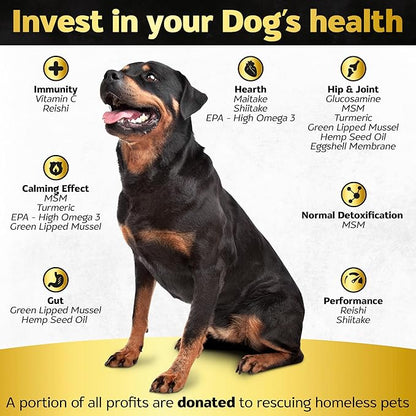 Soft Chews Hip and Joint Supplement for Dogs - Dog Joint Pain Relief Treats - Glucosamine, Chondroitin, Turmeric- Mobility Bites Supplement