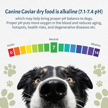 Canine Caviar - Grain Free Puppy: Chicken & Split Peas Alkaline Dry Dog Food, Limited Ingredients, Gluten-Free, Based on Science & Research, Veterinary Alternative Diet (11 Pound Bag)