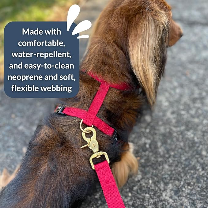 Adventure Dog Harness - Stylish and Durable Medium Dog Harness for Outdoor Adventures and Everyday Wear - Red Neoprene Adjustable Harness for Dogs with Reflective Piping, Solid Brass D-Ring