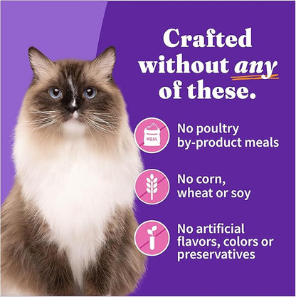 Halo Purely For Pets Indoor Cat Turkey and Giblets Recipe - Case of 12-5.5 Oz
