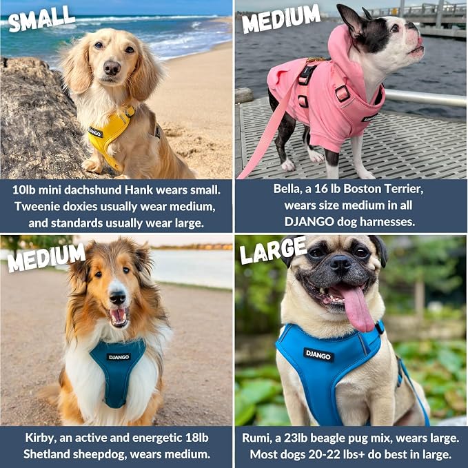 Adventure Dog Harness - Stylish, and Durable Medium Dog Harness for Outdoor Adventures and Everyday Wear - Quartz Pink Neoprene Adjustable Harness for Dogs with Reflective Piping, Brass D-Ring