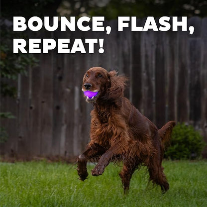 Outward Hound by Planet Dog Strobe Light Up LED Ball Dog Toy, Purple
