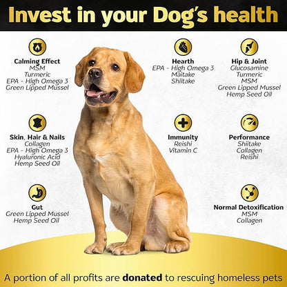 Hip and Joint Chews for Dogs + Skin and Coat Supplement - Dog Joint Pain Relief Treats - Glucosamine, Chondroitin, MSM, Hemp Oil, Turmeric, Omega 3 for Dogs, Mobility Dog Health Supplies
