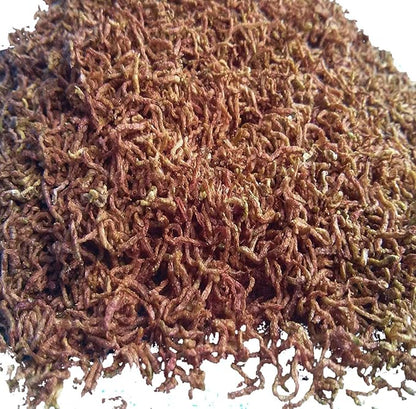 Aquatic Foods Inc. Bloodworms, Freeze Dried Fresh Grade A Floating Bloodworms for All Tropical Fish, Bettas, Discus, Cichlids, Community Fish, Turtles, Carnivores. Shipped from Calif...2-lbs