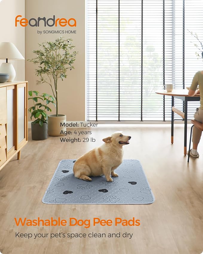 Feandrea Washable Dog Pee Pads, 2 Pack, Reusable, 48 x 36 Inches, XL, Waterproof Pet Training, Leakproof, Non-Slip, Super Absorbent, Gray UPTD036G01