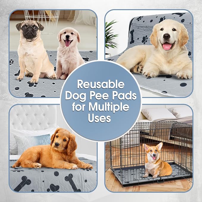 Washable Pee Pads for Dogs 2 Packs 36’’ x 41’’ Washable Puppy Pads Waterproof Dog Pee Mats Heavy Absorbent with Non Slip Bottom for Indoor Pet Training