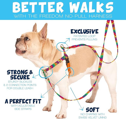 2 Hounds Design Freedom No Pull Dog Harness, Adjustable Harness, Easy Walking & Comfortable Control, Fits Small, Medium & Large Dogs, Solid Colors, Made in USA, 1" MD, Neon Orange