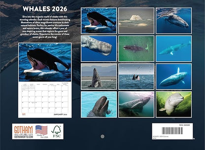 Whale Calendar 2026 Monthly Wall Calender 12 Month | American Made In The USA