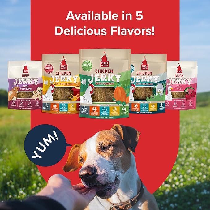 PLATO Pet Treats Jerky Dog Treats - Air-Dried Jerky for Dogs - Delicious, Real Meat Dog Treats - Grain Free - Supports Healthy Digestion - Chicken Jerky with Pumpkin 16oz