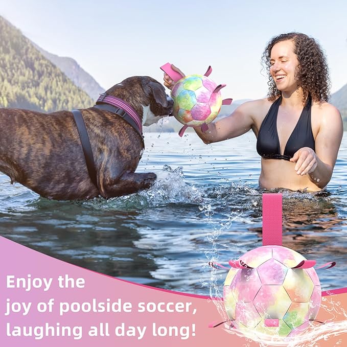 QDAN Dog Balls: Herding Ball for Dogs, Outdoor Toys Dog Soccer Ball with Straps, Interactive Pet Toys for World Cup Large Dogs Tug of War, Pet Birthday Gifts,Gradient Rainbow (8 Inch)