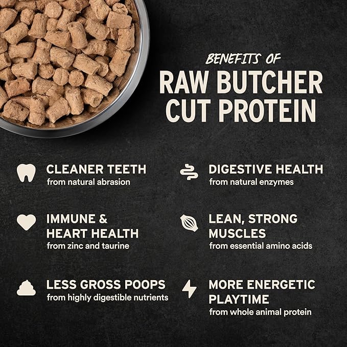 Vital Essentials Freeze-Dried Raw Beef & Salmon Meal or Mixer Dog Food Soft Nibs | 99% Beef, Salmon, Organs & Bone |14 oz