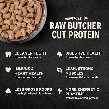 Vital Essentials Freeze-Dried Raw Beef & Salmon Meal or Mixer Dog Food Soft Nibs | 99% Beef, Salmon, Organs & Bone |14 oz