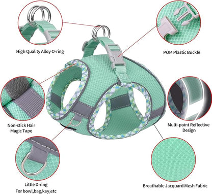 AIITLE XXS Dog Harness & Leash Set - Breathable Reflective No-Choke Small Dog Harness for Teacup Puppies, Indoor/Outdoor Use - Boston Terrier, Maltese, Chihuahua (Turquoise, XXS)