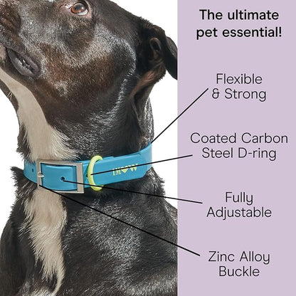 Wild One Dog Collar, Easy-Clean, All Weather Flex-Poly Strap with Metal, Durable, Dirt and Odor Resistant (Hudson, XL)