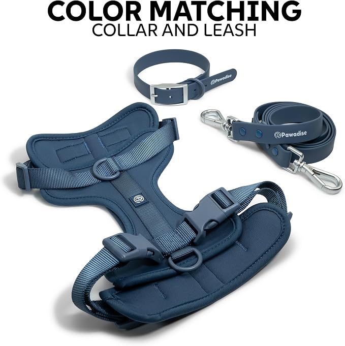 Dog Harness, Collar & Leash Set, Adjustable No Pull Harness with 3 Leash Clips, Waterproof Matching Collar & Leash, Breathable Comfort (Blue, Small)