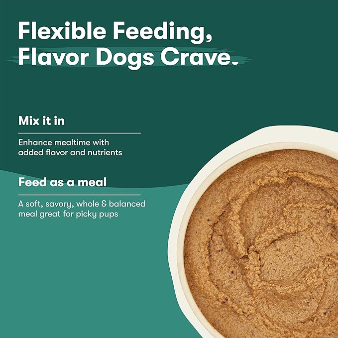 Jinx Premium Wet Dog Food Cans, Variety Pack - Salmon & Chicken Pate - Grain-Free Canned Dog Food Pate & Topper with Real Ingredients & No Fillers - All Life Stages, Breeds & Sizes - 12-Pack, 13 Oz
