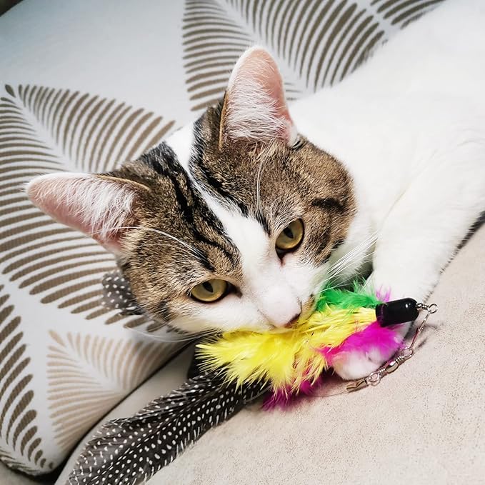 Cat Feather Toys Refills, 8 Pieces Natural Da Bird Feathers Refill, Cat Wand Replacement Feather for Indoor Cats (D)