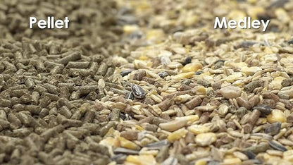 Kaytee Food from The Wild Natural Pet Rabbit Food,4 Pound,(Pack of 2)