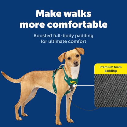 PetSafe Easy Walk Comfort No Pull Dog Harness, Green, Extra Small | Stops Pulling on First Use with Front Martingale Loop, Full-Body Padding, 5-Point Adjustable Fit