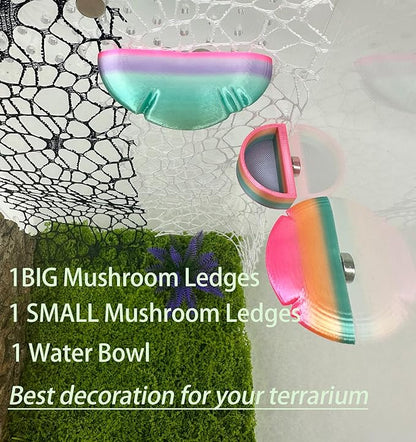 2 Pack Jumping Spider Accessories Mushroom Ledges & 1 Pack Water Bowl with Magnets for Spoods Jumping Spiders Magnetic Ledge Ladder Pet Spider Accessories (Not Included The Terrarium) (colorful)