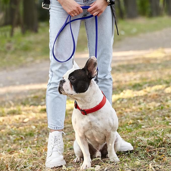 Dogline Biothane Waterproof Dog Leash Strong Coated Nylon Webbing with Black Hardware Odor-Proof Easy to Clean High Performance for Small or Large Dogs Made in USA 4 or 6 ft Lead, Blueberry Royal