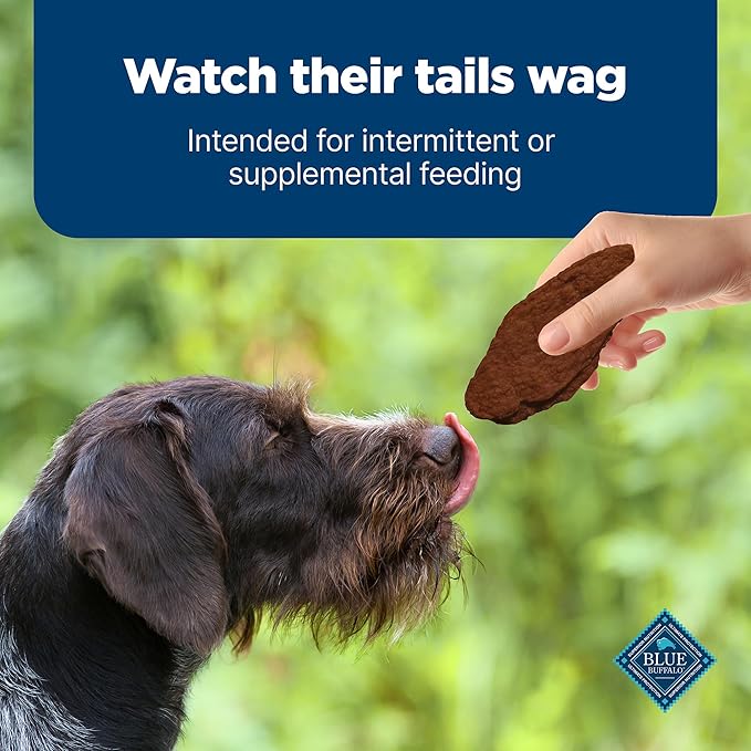 Blue Buffalo Nudges Jerky Cuts Dog Treats, Made in the USA with Natural Ingredients, Steak, 10-oz Bag