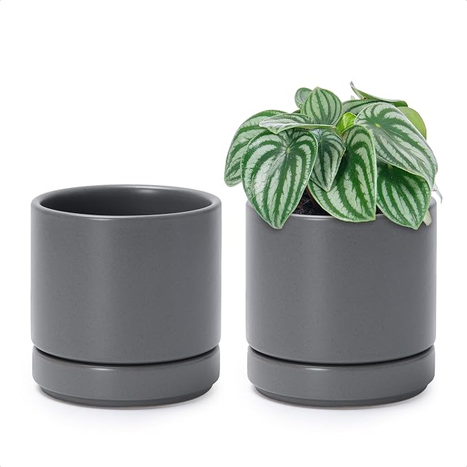 D'vine Dev Set of 2 Plants Pots, 4.7 Inch Ceramic Planter Pot for Plants with Drainage Hole and Saucer, Speckled Grey, 94-V-B-3
