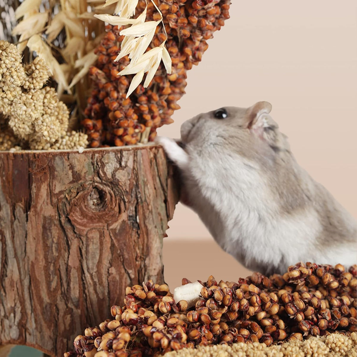Natural Ear of Grain Flower&Herb Bedding Mate Habitat Decor, Adding Fun Hamster Accessories for Hamsters Gerbils Lemming