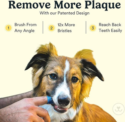 Jasper Dog Toothbrush, 360 Degree Dog Tooth Brushing Kit, Cat Toothbrush, Canine Dental Care & Teeth Cleaning Kit, Pet Finger Tooth Brush, Use with Pet Toothpaste, 4-Pack Blue
