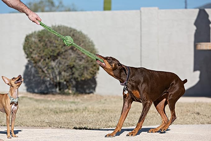 Jolly Pets Knot-N-Chew Large/X Large Gentle Tugger Rope Dog Toy