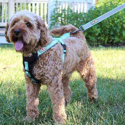 Pawtitas 6 FT Padded Dog Leash with Comfortable Neoprene Padding Handle - Camo Pink Lead | Medium Reflective Dog Leash with Highly Reflective Band Perfect for Medium and Large Dogs and Puppies.