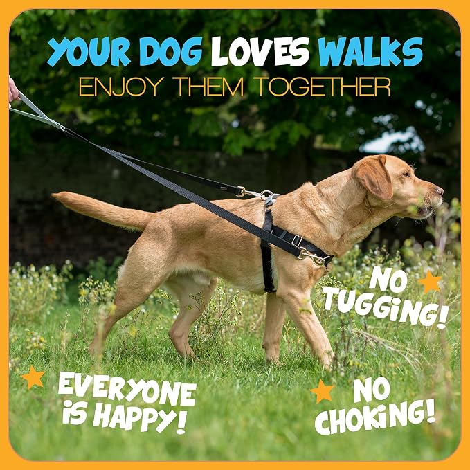 2 Hounds Design Freedom No Pull Dog Harness, Adjustable Harness and Leash Set, Easy Walking & Comfortable Control, Fits Small, Medium & Large Dogs, Solid Colors, Made in USA, 1" XL, Rose